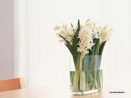 Tuần của bạn (4/1 - 10/1) - Hình 1