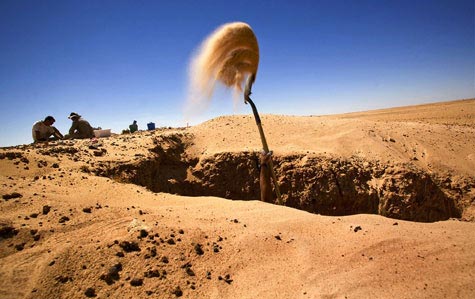 Sahara và những bí ẩn vùi trong cát - Hình 13