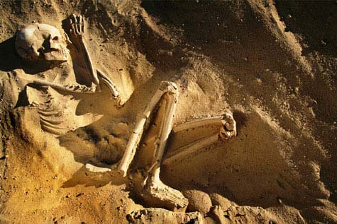 Sahara và những bí ẩn vùi trong cát - Hình 8
