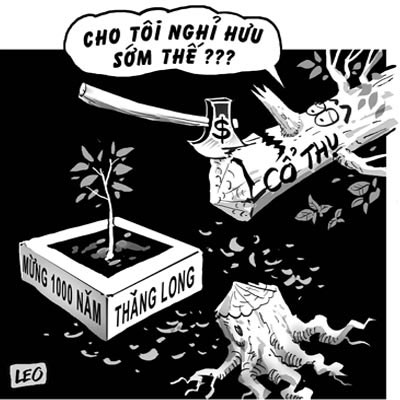 Xấu trước đẹp sau - Hình 1