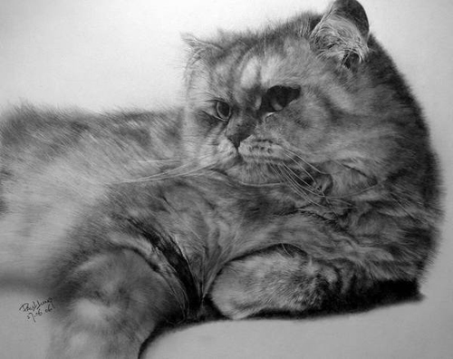Con mèo dường như đã cất cánh và bay lượn trên tờ giấy. Chỉ với những nét vẽ bằng bút chì, họa sĩ đã tạo ra một tác phẩm tuyệt vời đầy tính sáng tạo. Hãy cùng nhau ngắm nhìn chú mèo bằng bút chì đang hóa thân trong bức tranh này.