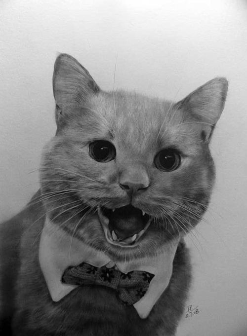 Hình nền Nền Mèo Xám Vẽ Bằng Bút Chì Với Màu Xám đậm Nền Bức Tranh Vẽ Con  Mèo Background Vector để tải xuống miễn phí  Pngtree