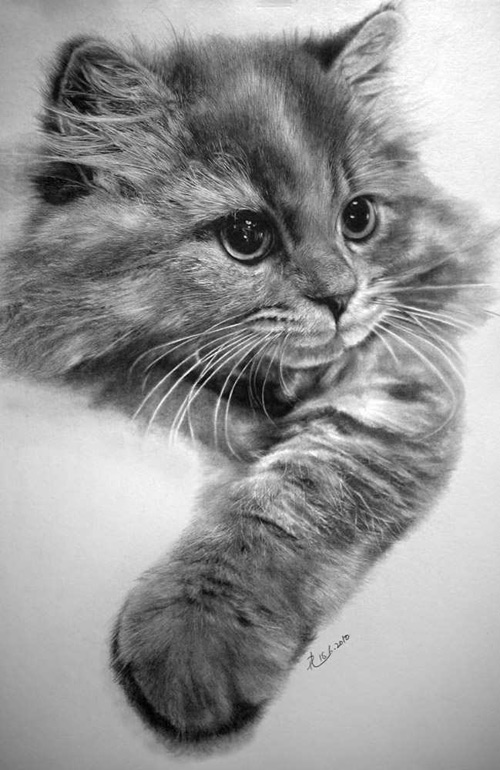 Xem ngay hình vẽ con mèo tuyệt đẹp được thực hiện bằng bút chì tinh xảo. Với đường nét tinh tế và sắc sảo, hình ảnh con mèo sẽ chắc chắn mang đến cho bạn cảm giác thư giãn và yên bình.