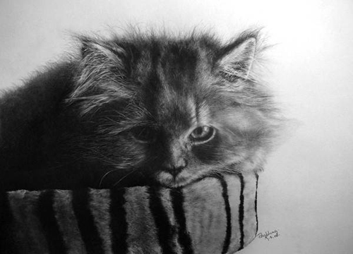 Nếu bạn muốn thấy một bức tranh đẹp với chủ đề mèo được vẽ bằng bút chì, thì hãy tới và xem ảnh \