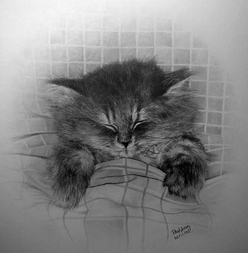 Vẽ mèo bằng bút chì: Hãy dành chút thời gian để thư giãn và trang trí cho ngôi nhà của bạn với những bức tranh tuyệt đẹp được vẽ bằng bút chì. Và có thể không có điều gì tuyệt vời hơn là một bức vẽ mèo đáng yêu. Hãy cùng xem và cảm nhận những nét vẽ mềm mại và tinh tế từ bút chì của nghệ sĩ, và tìm hiểu cách để tự vẽ bức tranh của riêng mình!
