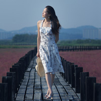 Em đê binh yên lai cho anh - Hình 1