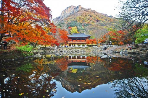 Đắm mình trong cảnh đẹp mùa thu xứ Hàn - Du lịch - Việt Giải Trí
