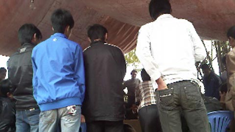 Mất Tết vì bạc và gà - Hình 2