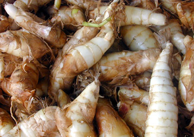 Bai thuôc cô truyên chưa ho, đau hong - Hình 1