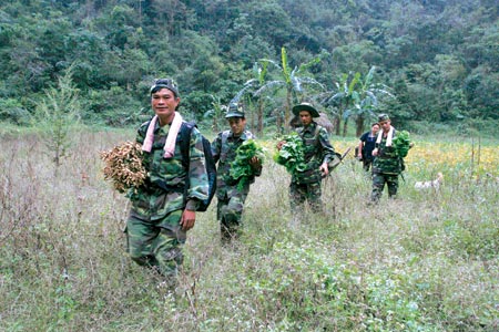 Nghe vượn tưởng đã tuyệt chủng hót ở đại ngàn Cao Bằng - Hình 2