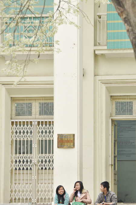 Hà Nội mơ màng trong mùa hoa sưa - Hình 3