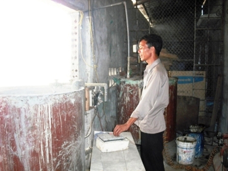 Độc đáo những viên gạch nổi trên mặt nước - Hình 2