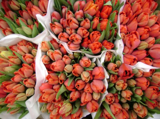 Muôn màu lễ hội Hà Lan - Hình 4