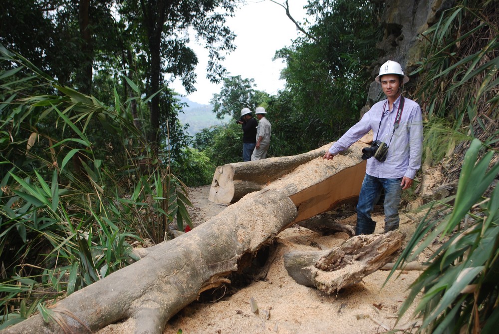 Quảng Nam: Vàng tặc và những hầm lò khai thác... rợn người - Hình 10