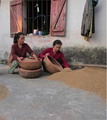 Nước mắt ở làng chết - Hình 1