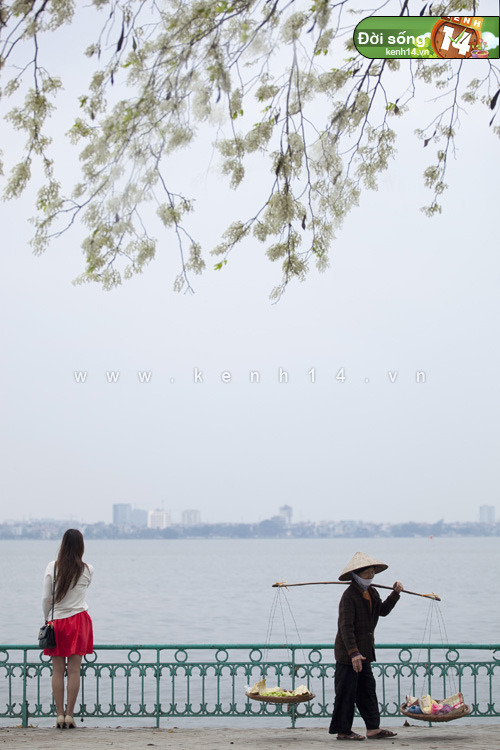 Hà Nội và hai mùa hoa tuyệt đẹp xuất hiện cùng lúc - Hình 19