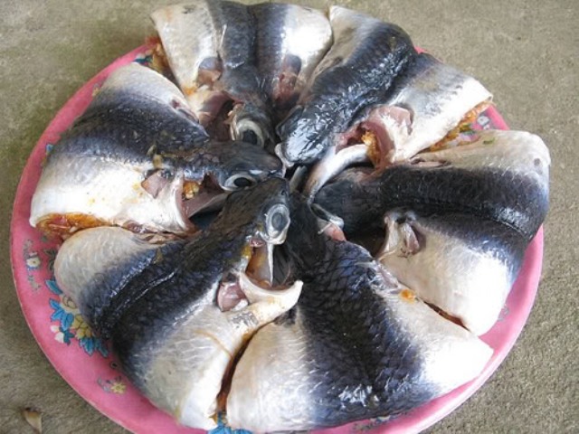 Cá chuồn - món ăn đậm đà hồn quê - Hình 2
