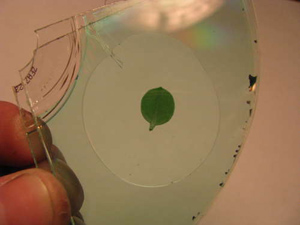 Mặt dây chuyền trong suốt có nguồn gốc từ đĩa CD - Hình 3