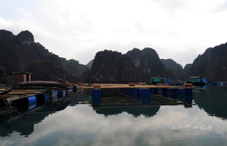 Tới thăm làng chài biển Vung Viêng - Hình 4