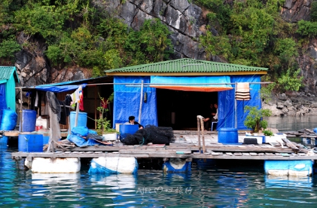 Tới thăm làng chài biển Vung Viêng - Hình 2