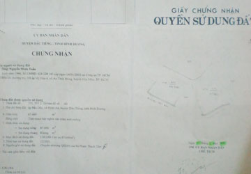 Trùm lừa bị lừa chạy án - Hình 2