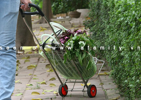 Đi chợ nhẹ nhàng với xe đẩy đa năng - Hình 1
