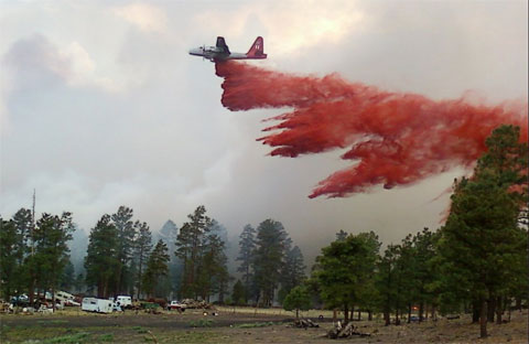 Cháy rừng hoành hành ở Arizona, Mỹ - Hình 10