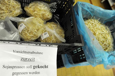 Đã tìm thấy khuẩn E.coli chết người trên giá đỗ - Hình 1