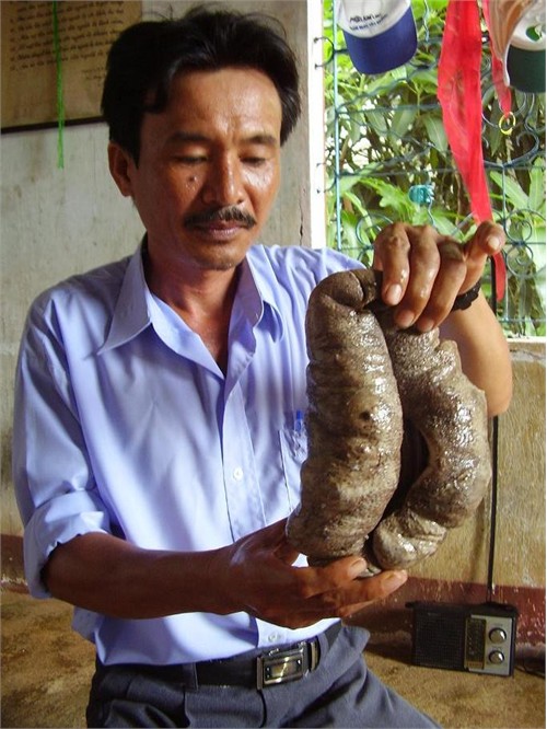 Nghề sờ vú nàng giữa đại dương - Hình 3
