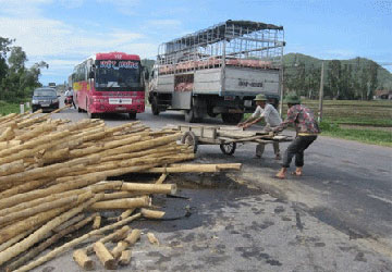 10 tấn gỗ rơi xuống đường, hai cháu bé bị thương nặng - Hình 1