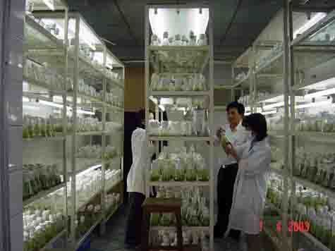 ĐH DL Phương Đông: Đào tạo cái xã hội cần - Hình 3