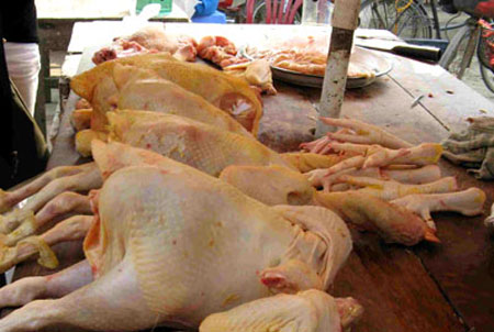 Năm 2011: Thực phẩm tiếp tục... giết người - Hình 6