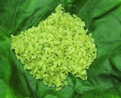 Năm 2011: Thực phẩm tiếp tục... giết người - Hình 7