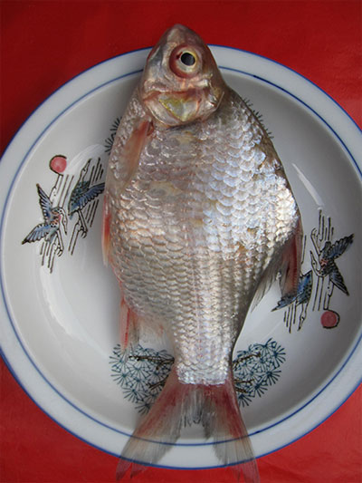 Thơm ngon khô cá dảnh miền Tây - Hình 1