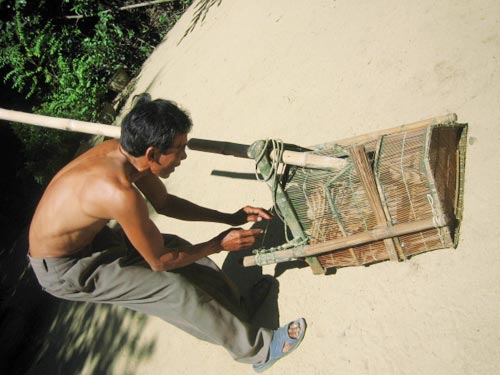 Tô don ngày tết - Hình 1