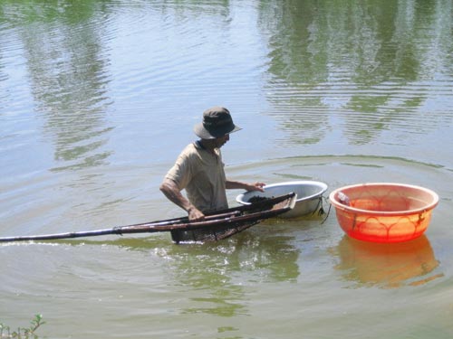 Tô don ngày tết - Hình 2