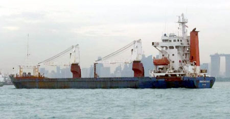Không tiền, không lương thực, 19 thuyền viên tàu Việt Nam kêu cứu - Hình 1