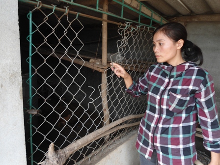 Người dân tố bị công an xã đánh nhập viện vì nghi ăn trộm gà - Hình 2
