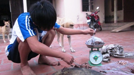 Đi săn... chuột đồng - Hình 6
