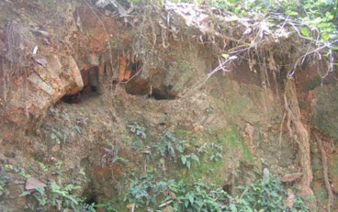 Những kho báu bí ẩn ở Việt Nam - Hình 2