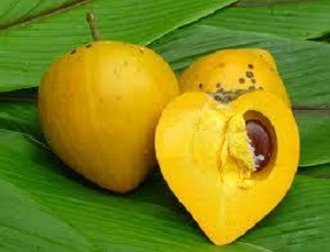 Những nguyên liệu tự nhiên cho lá gan khỏe mạnh - Hình 4