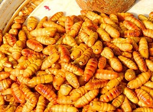 Những nguyên liệu tự nhiên cho lá gan khỏe mạnh - Hình 7