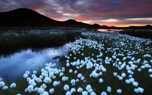 Vẻ đẹp ngoạn mục của vùng núi lửa ở Iceland - Hình 13