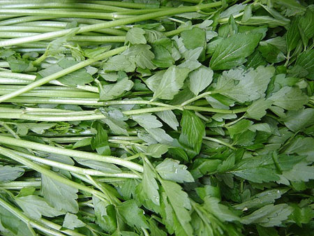 Rau cần chữa ho, thiếu máu - Hình 1
