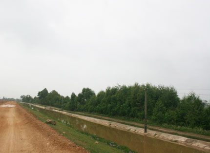 Thi thể trôi sông và cuộc điện thoại bí ẩn của cô gái - Hình 1