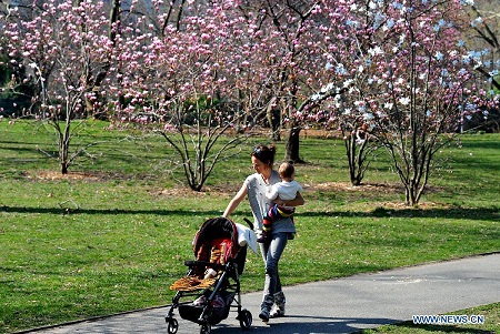 Khoảnh khắc xuân ở New York - Hình 2