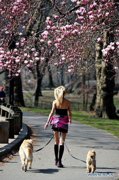 Khoảnh khắc xuân ở New York - Hình 5