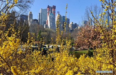 Khoảnh khắc xuân ở New York - Hình 6