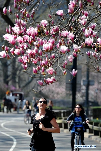 Khoảnh khắc xuân ở New York - Hình 8