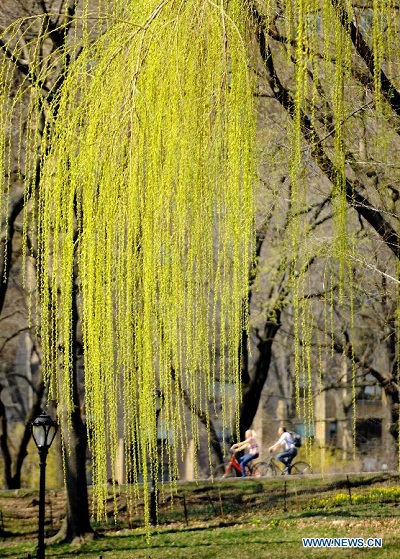 Khoảnh khắc xuân ở New York - Hình 1